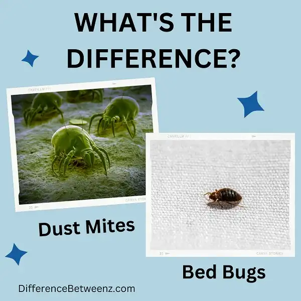 Difference between Dust Mites and Bed Bugs