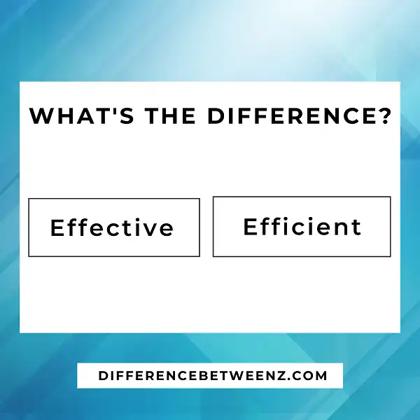 Difference between Effective and Efficient