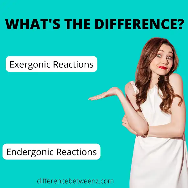 Difference between Exergonic and Endergonic Reactions