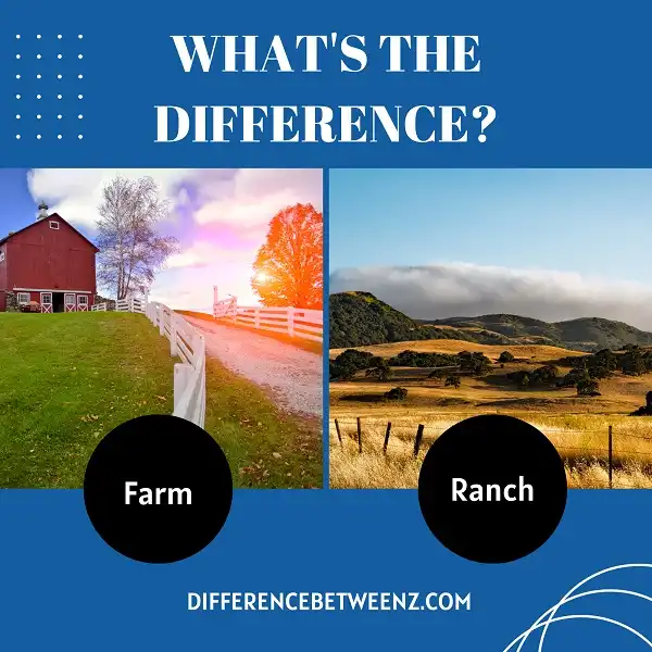 Difference between Farm and Ranch