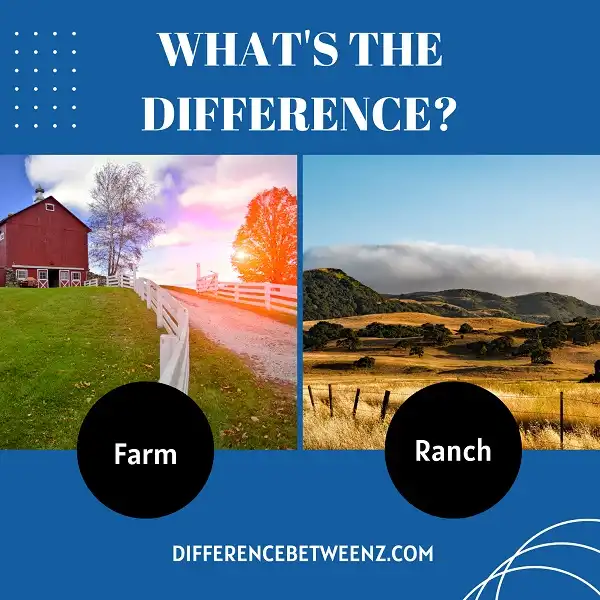 difference-between-farm-and-ranch-difference-betweenz