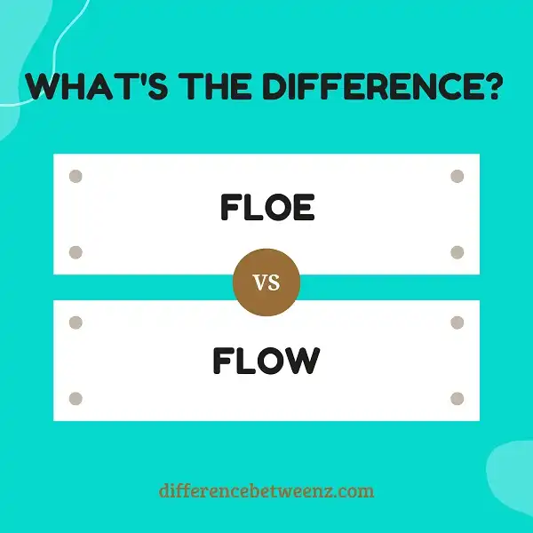 Difference between Floe and Flow