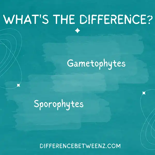 Difference between Gametophytes and Sporophytes