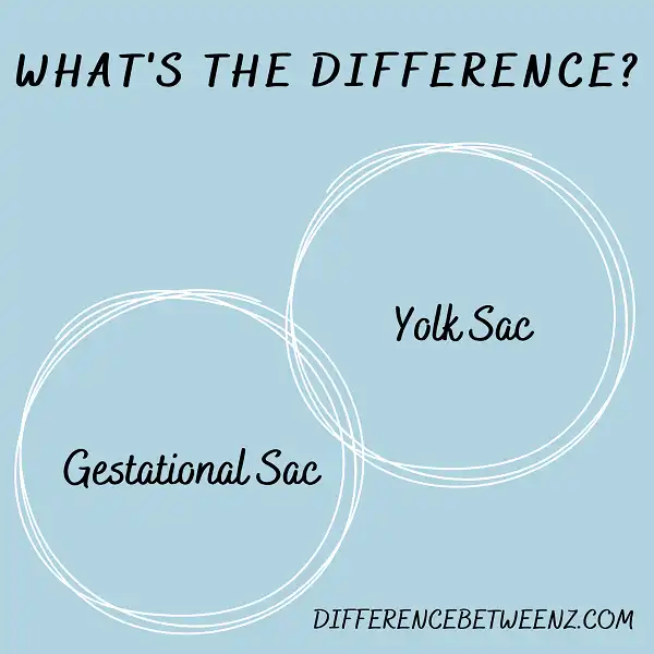 Difference between Gestational Sac and Yolk Sac