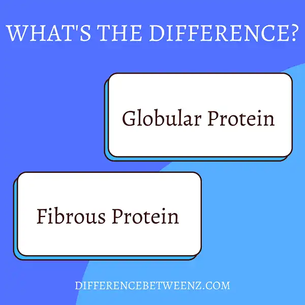 Difference between Globular Protein and Fibrous Proteins