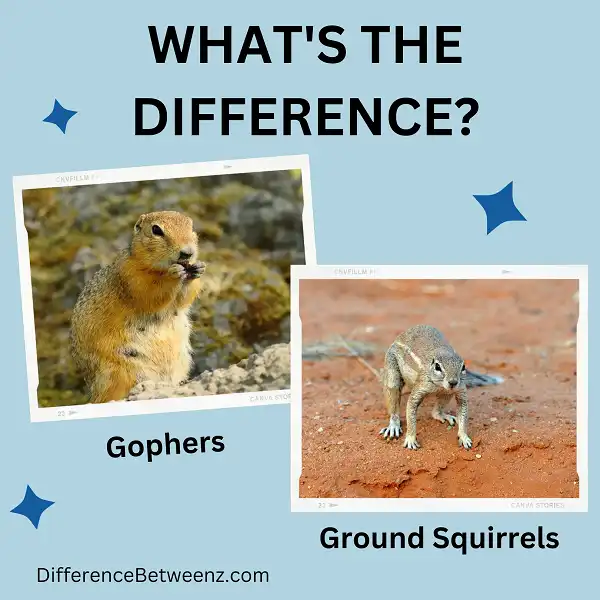 Difference between Gophers and Ground Squirrels