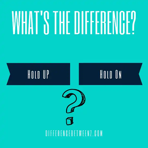 Difference between Hold Up and Hold On