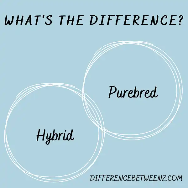 Difference between Hybrid and Purebred