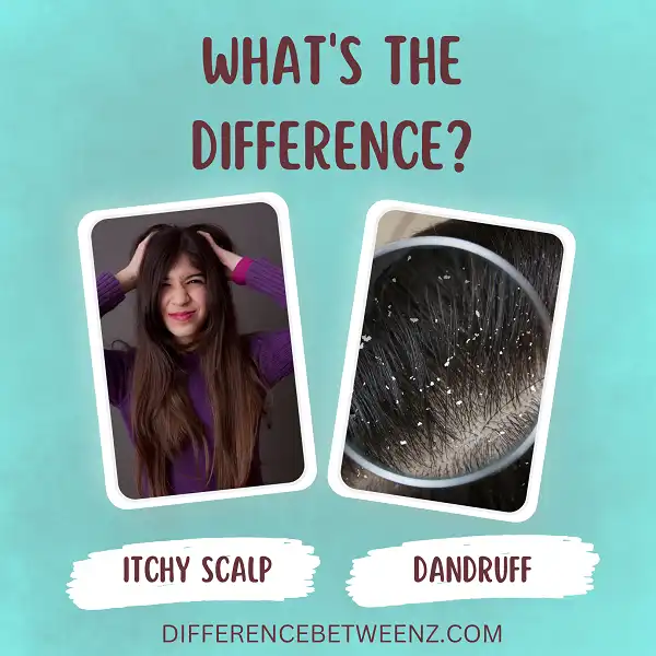 Difference between Itchy Scalp and Dandruff