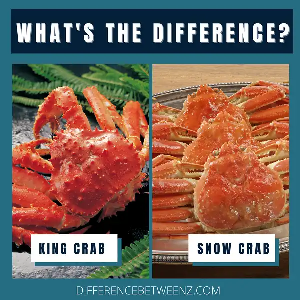 Difference between King Crab and Snow Crab