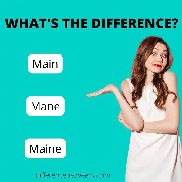 Difference between Main Mane and Maine