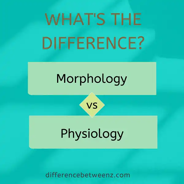 Difference between Morphology and Physiology