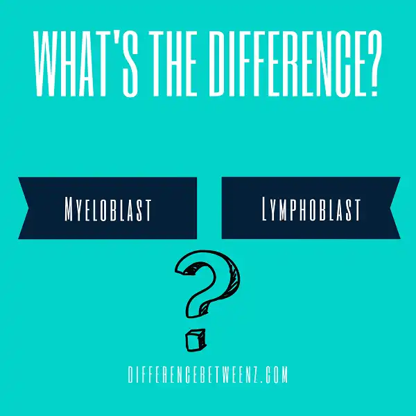 Difference between Myeloblast and Lymphoblast
