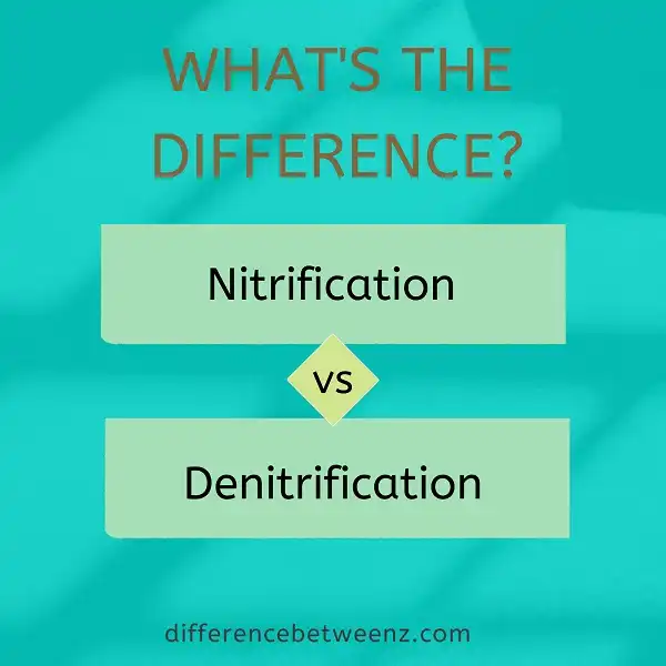 Difference between Nitrification and Denitrification