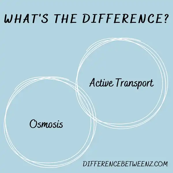 Difference between Osmosis and Active Transport
