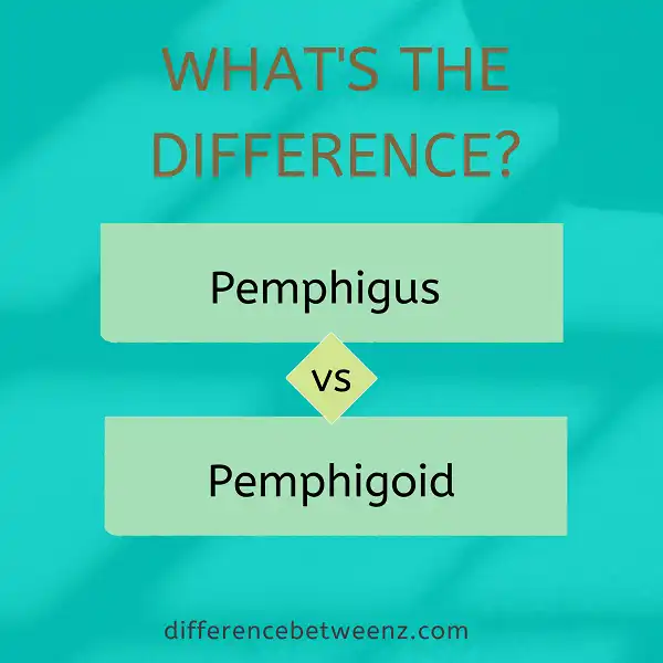 Difference between Pemphigus and Pemphigoid