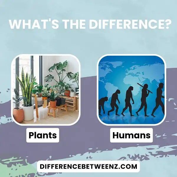 Difference between Plants and Humans - Difference Betweenz