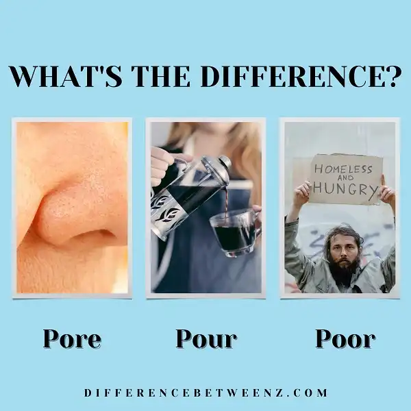 Difference between Pore, Pour, and Poor