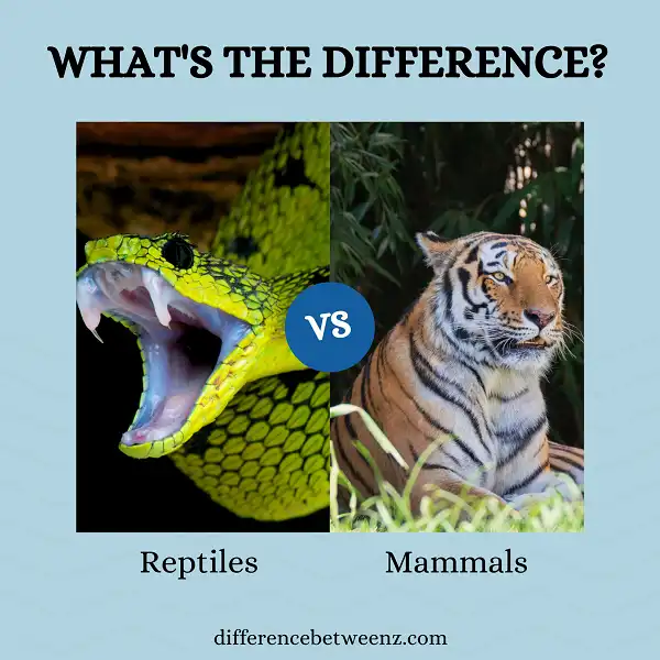 Difference between Reptiles and Mammals