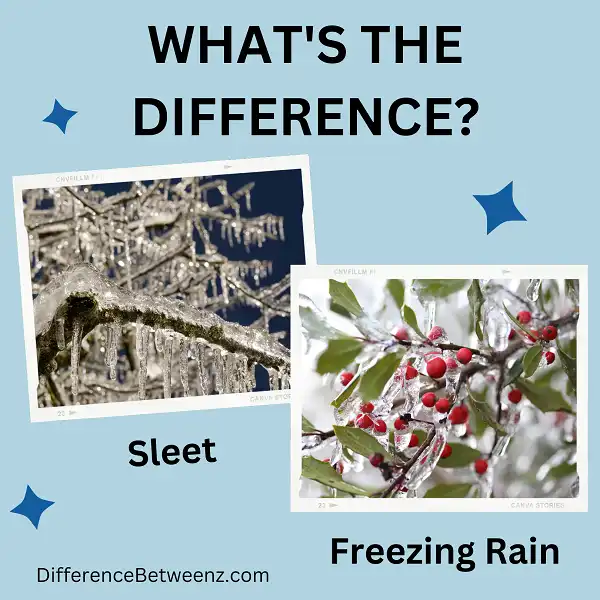 Difference between Sleet and Freezing Rain