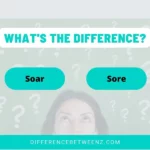 Difference between Soar and Sore