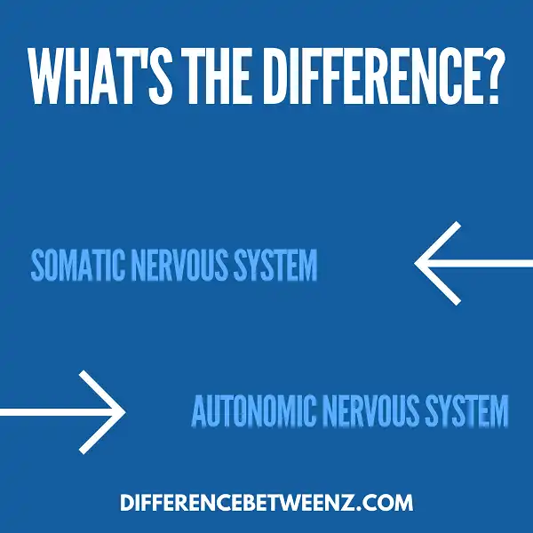 Difference between Somatic and Autonomic Nervous System