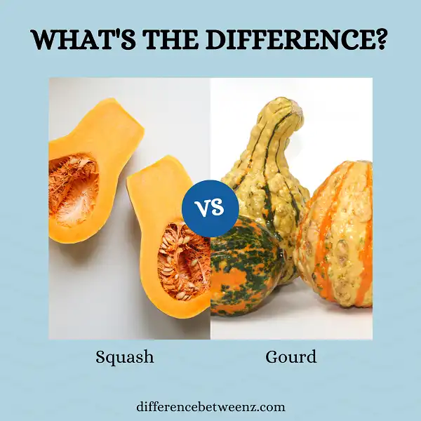 Difference between Squash and Gourd