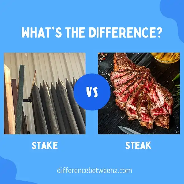 Difference between Stake and Steak