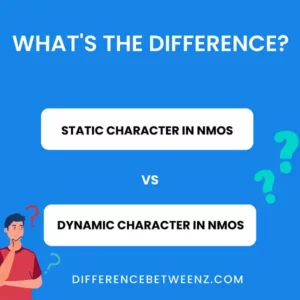 Difference between Static Character and Dynamic Character in NMOS