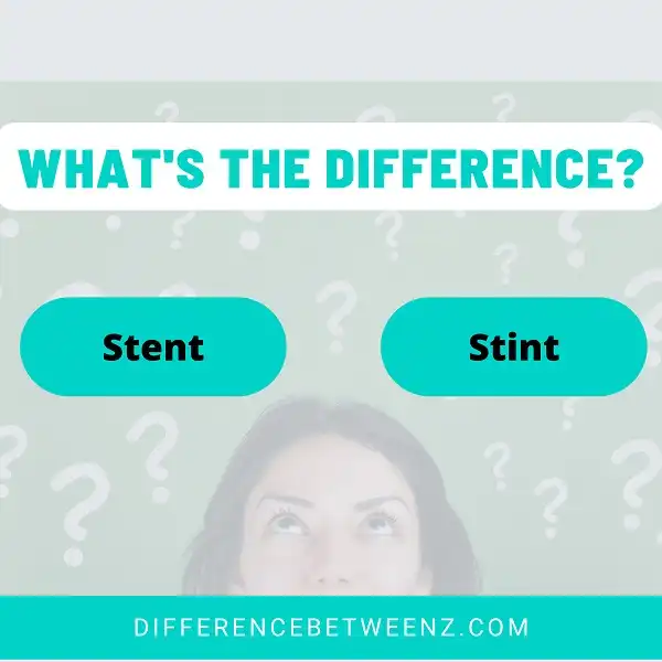 Difference between Stent and Stint