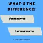 Difference between Vertebrates and Invertebrates
