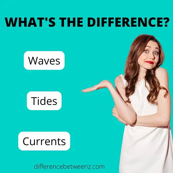 Difference between Waves, Tides, and Currents