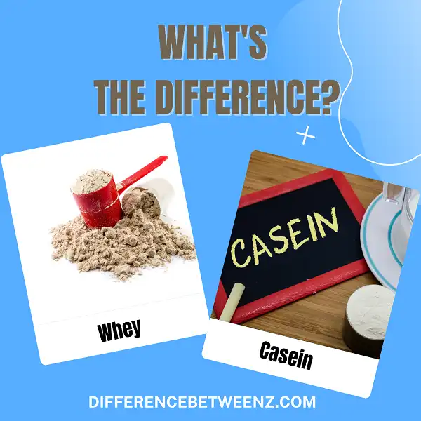 Difference between Whey and Casein