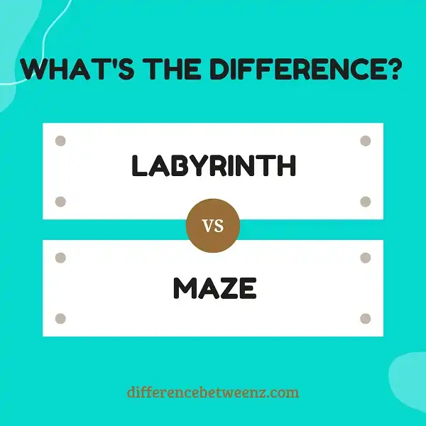 Difference between a Labyrinth and a Maze