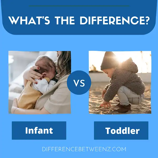 Difference between an Infant and a Toddler