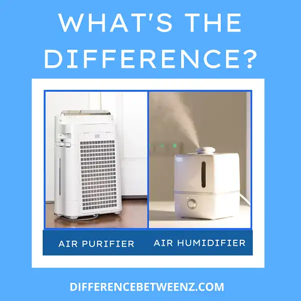 Differences between An Air Purifier and Air Humidifier