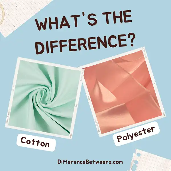 Differences between Cotton and Polyester