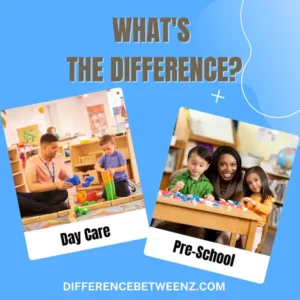 Differences between Day Care and Pre School