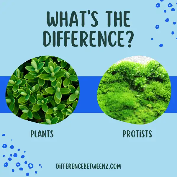 Differences between Plants and Protists
