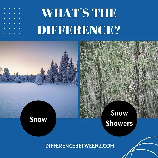 Differences between Snow and Snow Showers