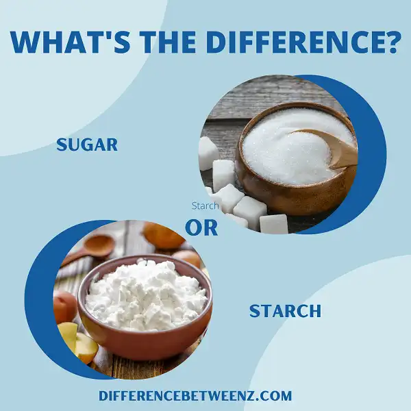 Differences between Sugar and Starch