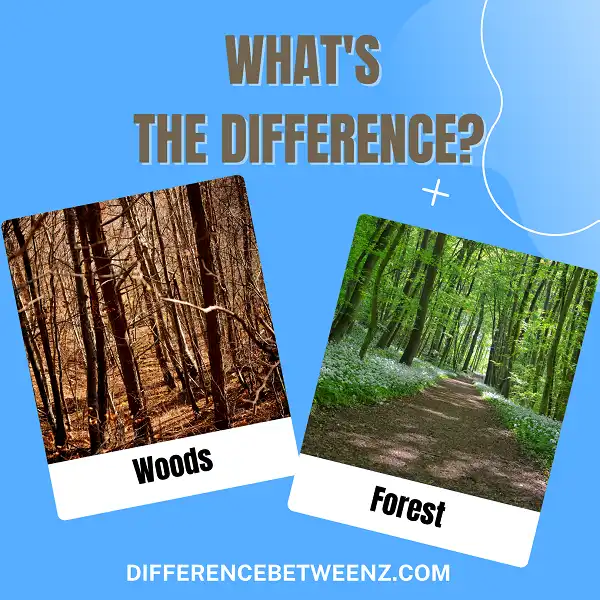 Differences between Woods and Forest