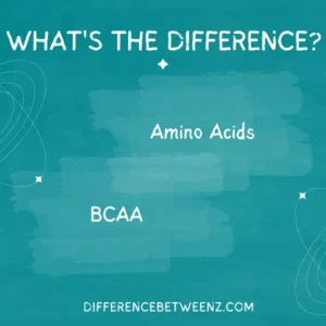 Difference Between Amino Acids and BCAA
