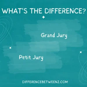 Difference Between Grand Jury and Petit Jury