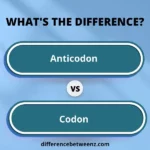 Difference between Anticodon and Codon