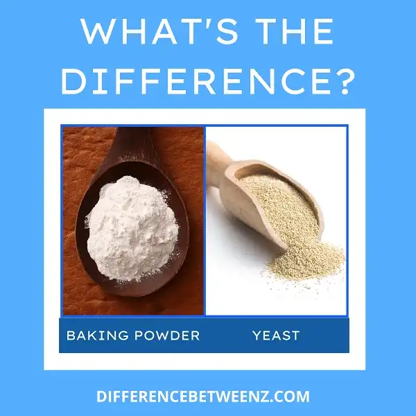 Difference between Baking Powder and Yeast