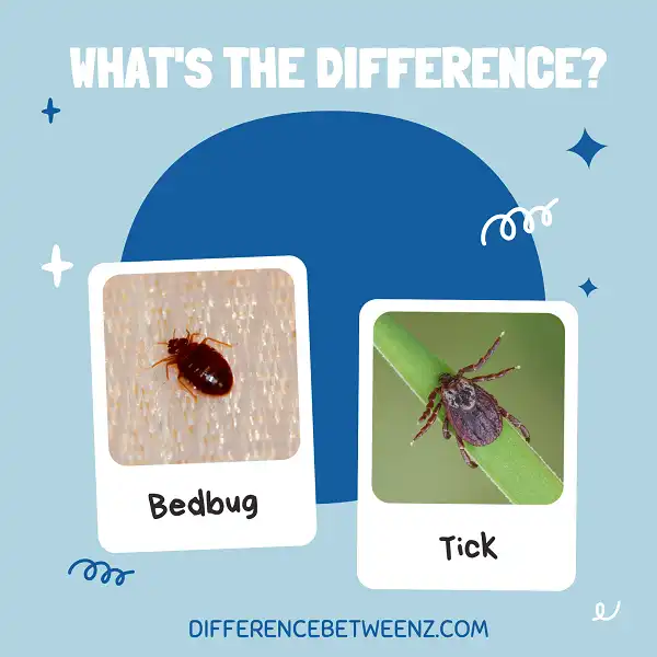 Difference between Bedbug and Tick
