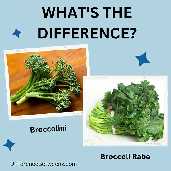 Difference between Broccolini and Broccoli Rabe