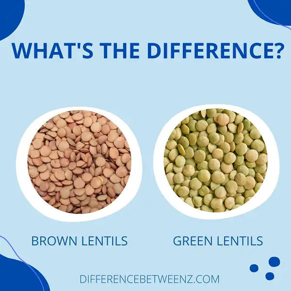 Difference between Brown Lentils and Green Lentils