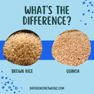 Difference between Brown Rice and Quinoa